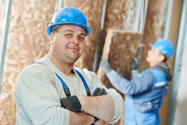Best Cellulose Insulation in Benson, MN