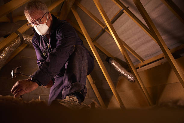 Best Eco-Friendly Insulation in Benson, MN